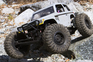 1/10 Wraith Spawn 4WD RTR
