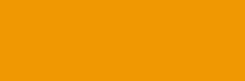 EconoKote Orange 6' №1