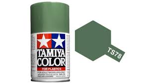 TS-78 Field Gray