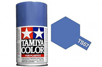TS-57 Blue Violet №1