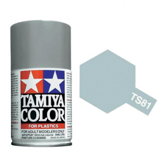 TS-81 Royal Light Gray №1