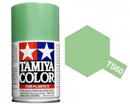 TS-60 Pearl Green №1